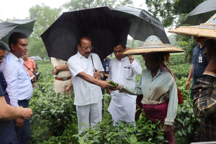 Governor Indra Sena Reddy Visits Brahmakunda Tea Estate and Factory in Simna