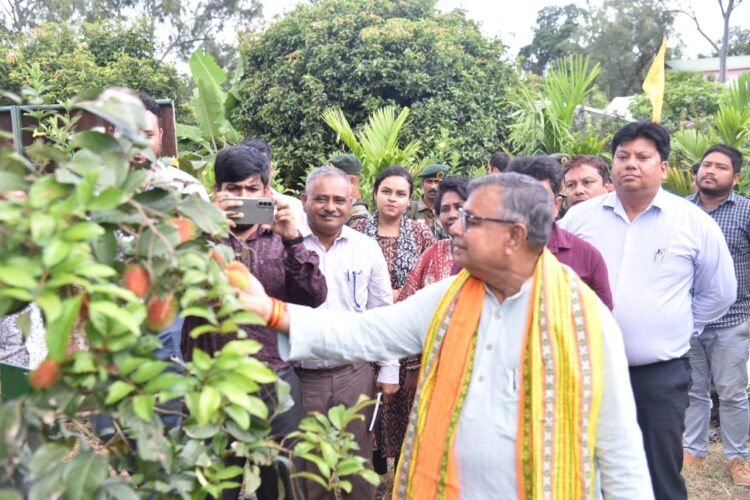 Agri department plans Kiwi, Blueberry, Blackberry cultivation in Tripura: Minister