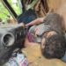 Teliamura Accident: State Govt Announces ₹6 Lakh Aid for Deceased Driver’s Family, Orders High-Level Probe