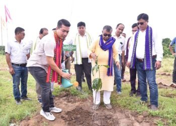 Tripura Explores Carbon Credit Model Through Sustainable Farming