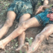 Tripura clash: 3 Bangladeshis dead, 2 Indians injured at border
