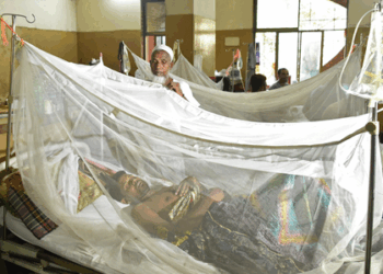 Bangladesh Dengue Deaths Touch 245 After Another Fatality
