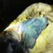 Decomposed body of woman in sack triggers outrage in Teliamura