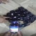 Melaghar raid nets ₹15L cash, 600 Eskuf syrup bottles; 3 held