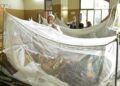 Bangladesh Dengue Deaths Reach 283 This Year