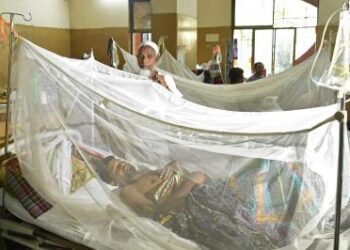 Bangladesh Dengue Deaths Reach 283 This Year