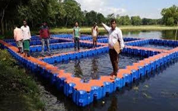 Cage culture begins at Twisinta Lake to aid livelihood, tourism
