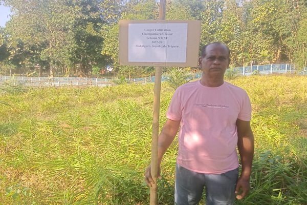 Champamura Village Becomes Tripura’s Model Hub for Natural Farming Success