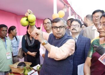 Orange cultivation, floriculture get a push in Tripura