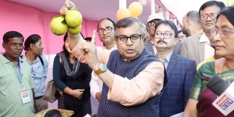 Orange cultivation, floriculture get a push in Tripura