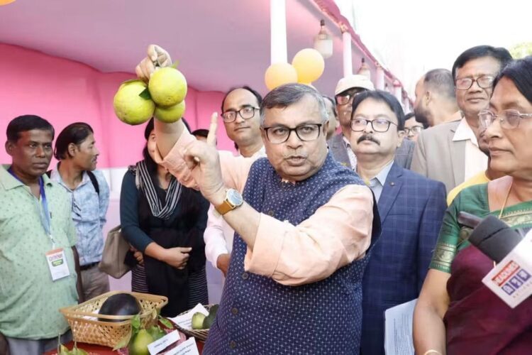 Orange cultivation, floriculture get a push in Tripura