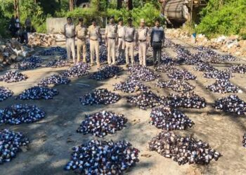 Tripura Police, Crime Branch Launch Major Crackdown on Drugs