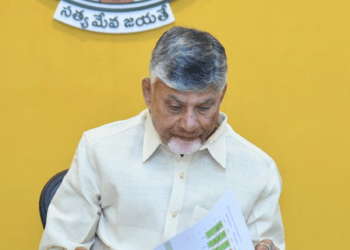 Revenue system to be overhauled in a year, orders Naidu