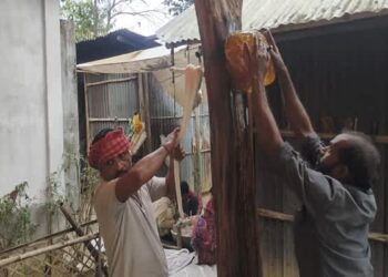 Poush Sankranti sweets revive tradition in Gokulnagar