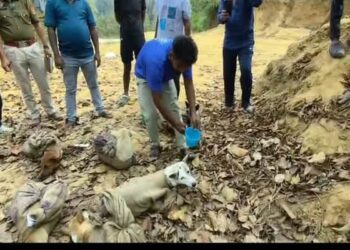 Alleged Dog Trafficking Foiled in Mungiakami