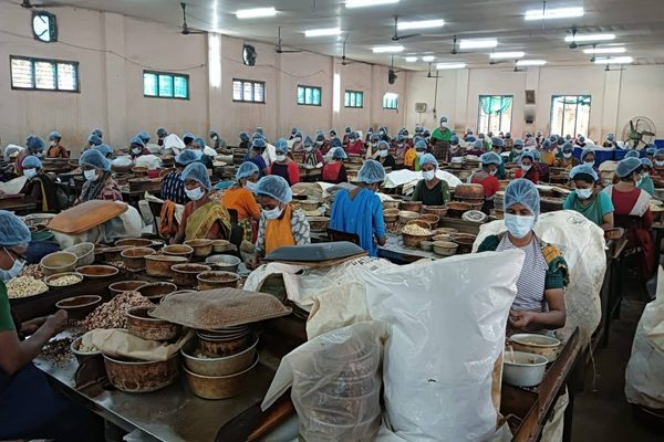 Rajnagar Delegation at Kollam Cashew Hub