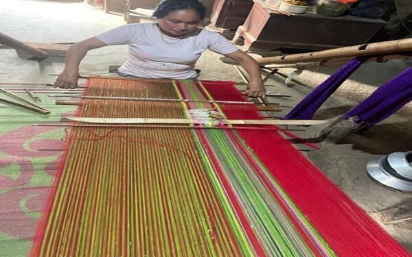 TRIPTI Helps Woman Achieve Self-Reliance