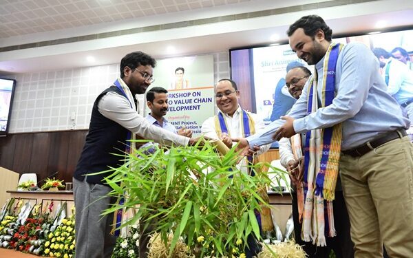 Tripura Govt Boosts Bamboo Cultivation, Industry Sector