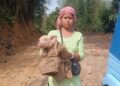 TRESP Livestock Drive Empowers Women Producer Groups, Boosts Rural Livelihoods in Tripura