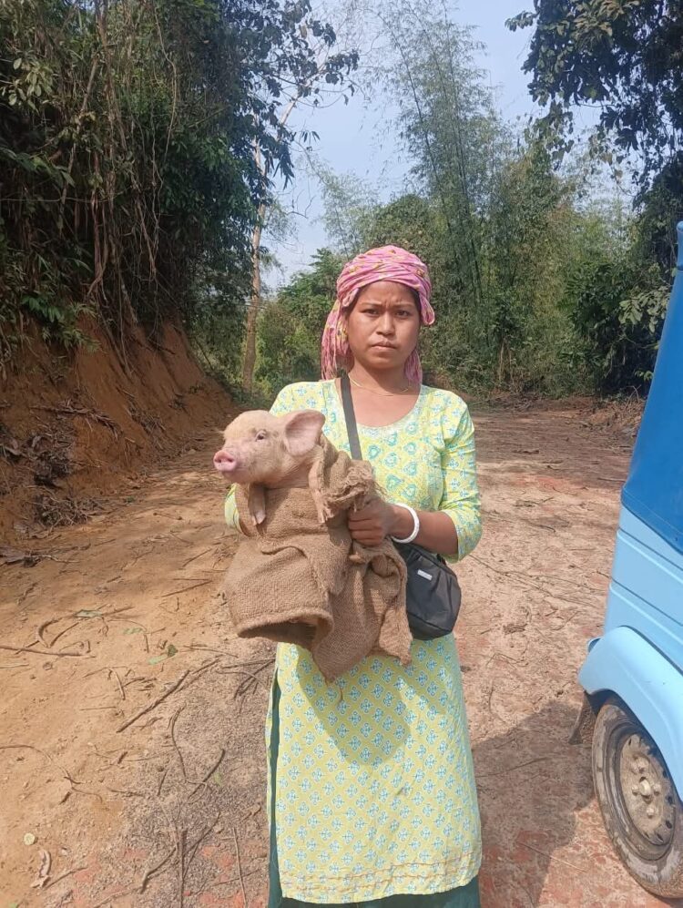 TRESP Livestock Drive Empowers Women Producer Groups, Boosts Rural Livelihoods in Tripura
