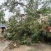 Agartala Waterlogged After Hour Rain, Civic Gaps Exposed