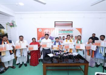 BJP manifesto pledges council upgrade for TTAADC