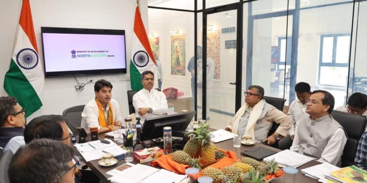 Tripura Launches Mission Queen Pineapple Project