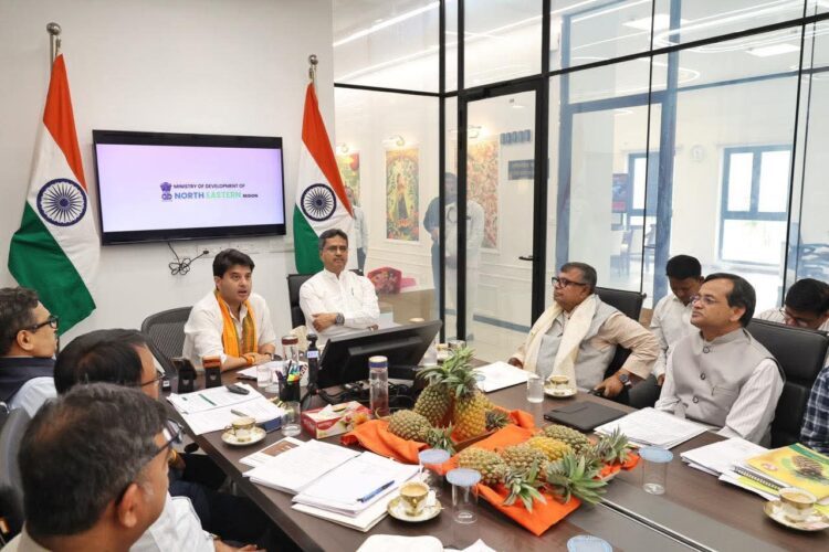 Tripura Launches Mission Queen Pineapple Project