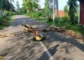 Tripura bandh over Tipra leader arrest disrupts normal life