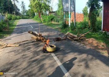 Tripura bandh over Tipra leader arrest disrupts normal life