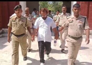 Special CBI Court Sentences Trio in Ponzi Scheme Case