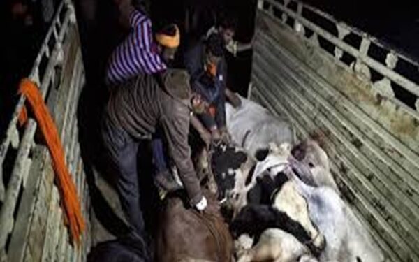 Boxanagar highlights communal harmony ahead of Eid