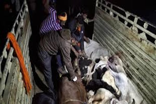 Boxanagar highlights communal harmony ahead of Eid