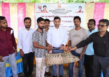 Rural Families Receive Piglets Under Govt Scheme