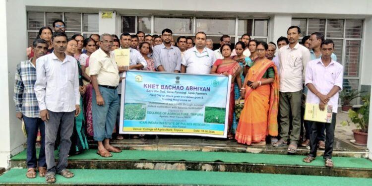 Field Day on Black Gram and Green Gram Held to Boost Soil Health in Tripura