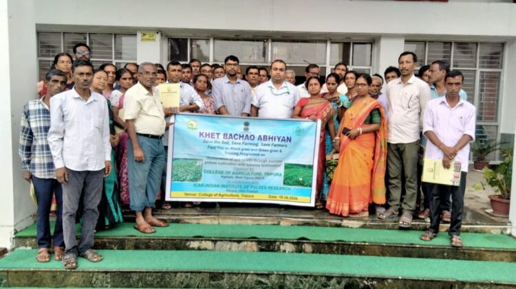 Field Day on Black Gram and Green Gram Held to Boost Soil Health in Tripura