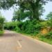 Three vehicles damaged in NH-208 attacks