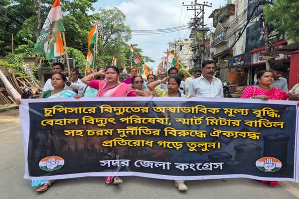 Congress Protests Power Tariff Hike, Smart Meters
