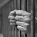 Khowai Court Hands 5-Year Sentence in NDPS Case