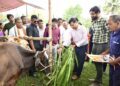 Livestock FMD Vaccination Drive Launched in Tripura