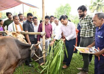 Livestock FMD Vaccination Drive Launched in Tripura