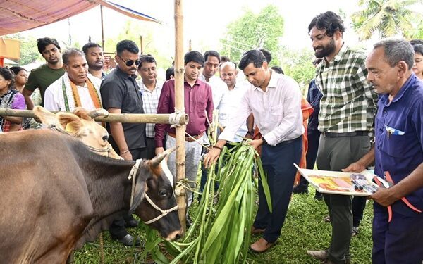 Livestock FMD Vaccination Drive Launched in Tripura