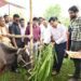 Livestock FMD Vaccination Drive Launched in Tripura