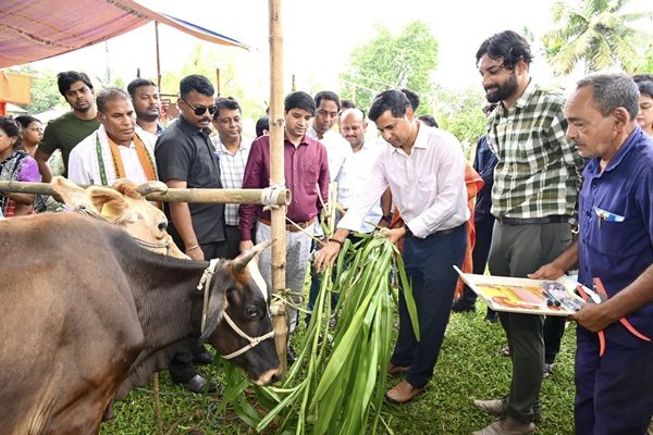 Livestock FMD Vaccination Drive Launched in Tripura