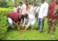 900-Tree Plantation Campaign Announced on Rahul Gandhi’s Birthday