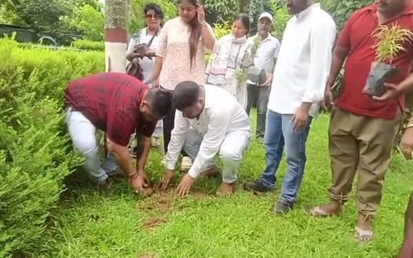 900-Tree Plantation Campaign Announced on Rahul Gandhi’s Birthday