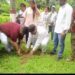 900-Tree Plantation Campaign Announced on Rahul Gandhi’s Birthday