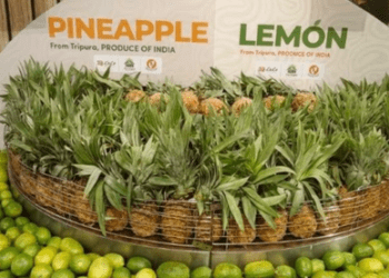 Tripura organic exports get major boost in Dubai