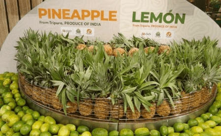 Tripura organic exports get major boost in Dubai