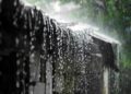 Orange Alert Amid Relentless Rain in Tripura